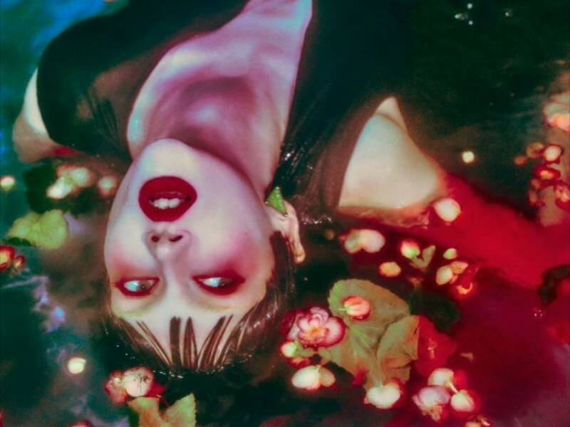 surrendering to death | autumn 